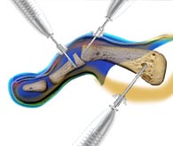 Docencia e innovación